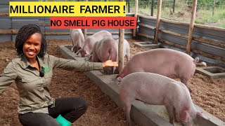 How Many PIGS To START A Simple Pig Farm Business  2024 Farm Routine [upl. by Schlessinger889]