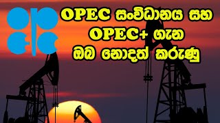 ඔපෙක් OPEC සංවිධානය  OPEC and OPEC   Fuel Price [upl. by Nycila922]