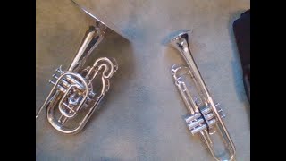 Trumpet vs Mellophone [upl. by Htebazileyram805]