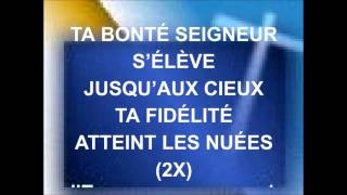 TU ES MA FORCE  Stéphane Quéry [upl. by Gausman]