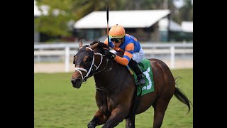 Gulfstream Park Resumen  14 de Marzo 2024 [upl. by Post]