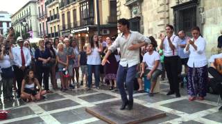 Flamenco Man Dance 2 [upl. by Menis941]