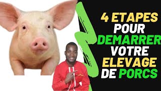 4 ETAPES pour COMMENCER votre élevage de PORCS en Afrique comment commencer un ELEVAGE DE PORCS [upl. by Newman]