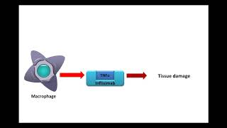 Infliximab  AntiAutoimmune Mechanism of Action [upl. by Loutitia654]