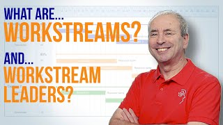 What is a Workstream And What is a Workstream Leader [upl. by Holey]