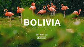 FREE Tems ft Burna Boy amp Tiwa Savage Type Beat quotBoliviaquot  Free Beat  Afrobeat Instrumental 2024 [upl. by Ahsika73]