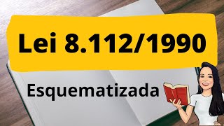LEI 811290  ANÁLISE ESQUEMATIZADA  Resumo dos principais pontos da Lei 811290  Lei 811290 [upl. by Trbor]