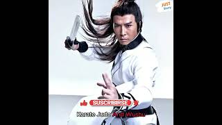 Donnie Yen history fight celebrities facts kungfu martialarts top10 movie donnieyen [upl. by Utham853]