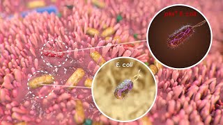 Mutational Signature in Colorectal Cancer caused by Genotoxic pks E coli [upl. by Danaher666]