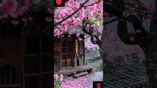 snowfall on flowers। snowy mountains। shorts 3d nature flowers [upl. by Heurlin]