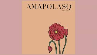 Amapolas House Remix Lucas Cash [upl. by Anaele]