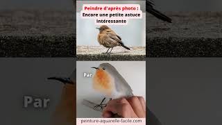 AQUARELLE Peindre daprès photo  encore une petite astuce intéressante aquarelle [upl. by Thinia]