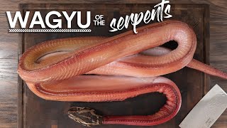 I DryAged the WAGYU of the SERPENTS and ate it [upl. by Nwahsek]