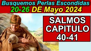 Busquemos PERLAS ESCONDIDAS de esta semana 2026 de Mayo 2024 Comentarios [upl. by Ethe]