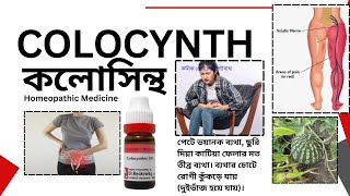 Colocynth  Colocynthis  কলোসিন্থ  Materia Medica  Learn Colocynth easily [upl. by Schaeffer]