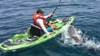 Watch shark flip over kayaker in middle of ocean [upl. by Tezil498]