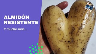 CARBOHIDRATOS SALUDABLES cuales son como bajo sus azúcares lowcarbrecipes ketofacil [upl. by Ayita992]