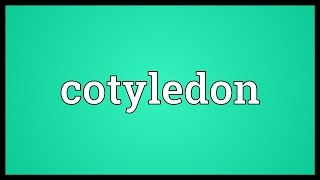 Cotyledon Meaning [upl. by Yrelav]