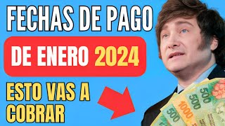 🍀 Cuando y Cuanto COBRO ANSES ENERO 2024 📣 Jubilados Pensionados AUH PNC SUAF  Fechas de Pago [upl. by Otirecul]