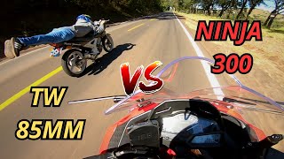 NINJA 300 vs TW 85MM vs MT03 [upl. by Cadell]