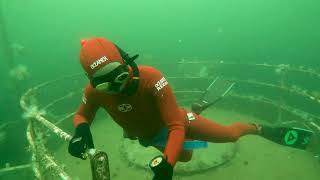 Diving the wreck of the Annapolis Freediving near Vancouver [upl. by Illek]