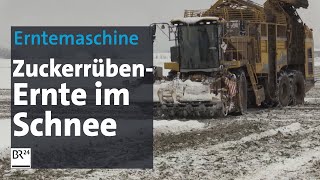 24Stunden auf dem Feld Ernteeinsatz im Schnee  Abendschau  BR24 [upl. by Zena575]