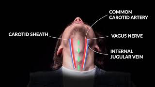 How to Perform An Emergent Cricothyrotomy Emergency Medicine  Your Design Medical [upl. by Pfaff]