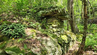 Chestnut Knob Shelter 5701 to Jenkins Shelter 5808 no water [upl. by Namar]