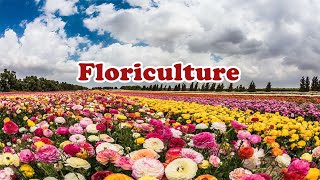 INTRODUCTION TO FLORICULTURE [upl. by Morton4]