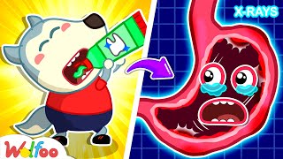 Stop Wolfoo Dont Eat Toothpaste  Home Safety Rules for Kids 🤩Wolfoo Kids Cartoon [upl. by Notsnorb]