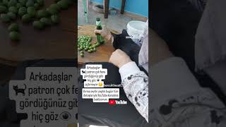 Kırma zeytin yapmayan kalmasın detaylar videolar kısmında yeşilzeytin hamzeytin zeytin tarif [upl. by Neras]