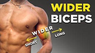 The Science of Wider Biceps Unveiling the Secrets [upl. by Charlet973]