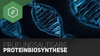 Typische Prüfungsaufgabe – Proteinbiosynthese Teil 5 [upl. by Tihom]