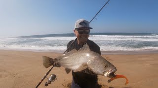 Kob on Paddle tail Sandspit Port Shepstone [upl. by Enrobialc436]