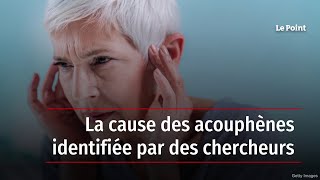 La cause des acouphènes identifiée par des chercheurs [upl. by Navap]