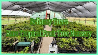 Kentucky Rare Tropical Fruit Tree Nursery Bellamy Trees Update [upl. by Melinde]