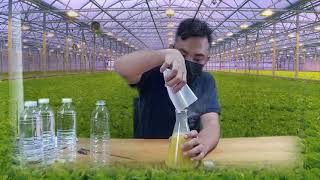 How to make stock solution using hydroponic formula 51126 [upl. by Ardnahs]