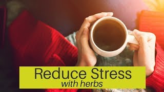 Top Herbs for Reducing Stress – Relaxing Herbal Tea [upl. by Reinaldos]