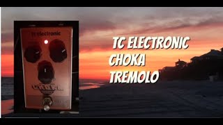 Choka Tremolo Pedal demo  TC Electronic [upl. by Chauncey]