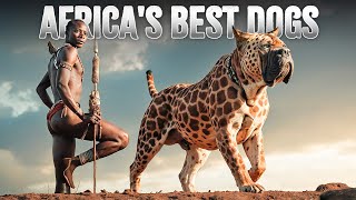 The 10 Unique African Dog Breeds [upl. by Atinal]