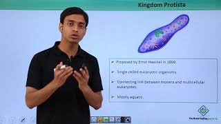 Class 11th – Kingdom Protista – Introduction  Biological Classification  Tutorials Point [upl. by Uoliram]