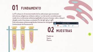 Video tutorial de Inmunofluorescencia Indirecta para Chagas [upl. by Nath]