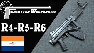 South African Galils The R4 R5 R6 and LM Series [upl. by Swerdna]