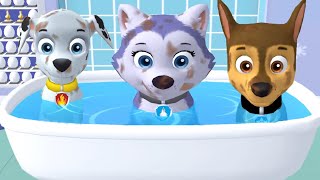 Paw Patrol A Day in Adventure Bay VS Adventure On A Roll  Pups Daily Life  Fun Pet Kids Games [upl. by Aihsekin]