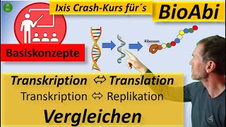 Vergleich Transkription und Translation  sowie  Replikation  unter Nutzung der Basiskonzepte [upl. by Susejedairam690]