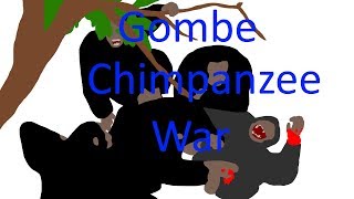 Tongafa History  The Gombe Chimpanzee War [upl. by Viridi]