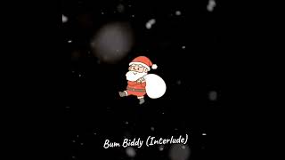 Bum Biddy Interlude Offical Visualizer [upl. by Darelle]