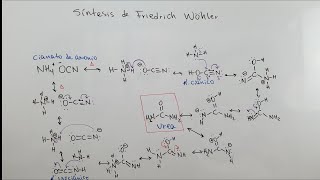 Síntesis de la Urea por Friedrich Wöhler  Fin del Vitalismo  Mecanismo de Reacción [upl. by Spevek]