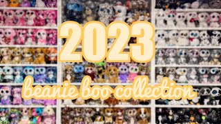 My Beanie Boo Collection  2023 [upl. by Hoenack]