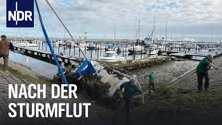 SchleswigHolstein Nach der JahrhundertSturmflut  Die Nordreportage  NDR Doku [upl. by Lleon]